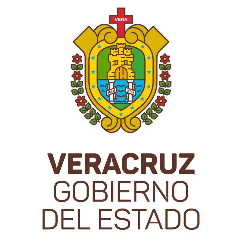 La Nueva Imagen Gubernamental del Gobierno de Veracruz