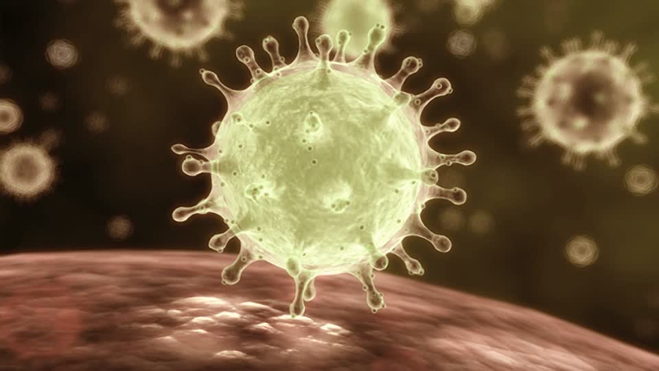 El virus que infecta a la salud y a la economía